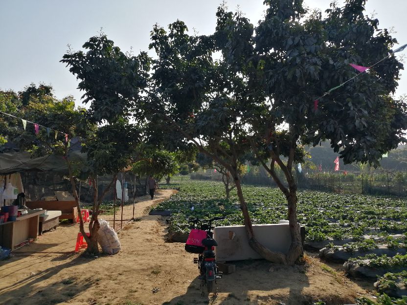 偶遇乡村田园生活视频,偶遇田园生活韩剧演员