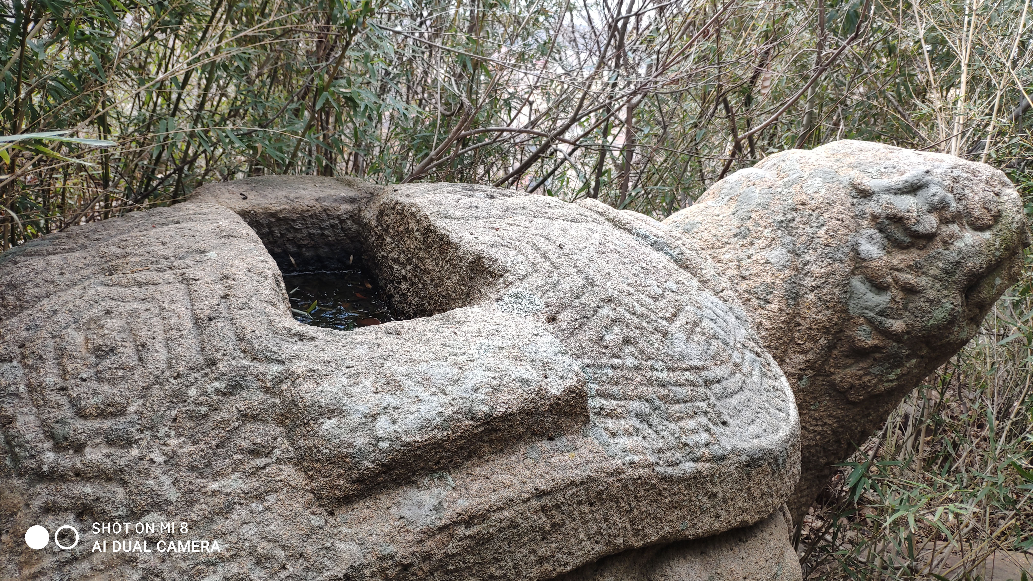 崂山水畔菜蔬鲜，黄石洞中书韵长
