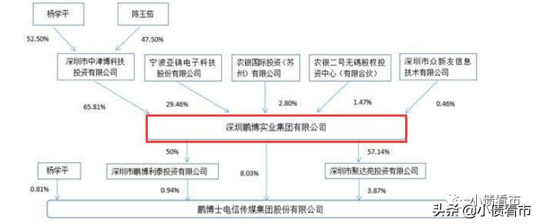 鹏博士海外债违约事项,鹏博士减负债券违约风险