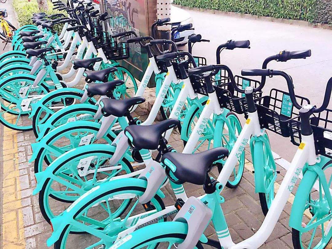 曾经属于小黄车的西二旗正在一点点被“绿”