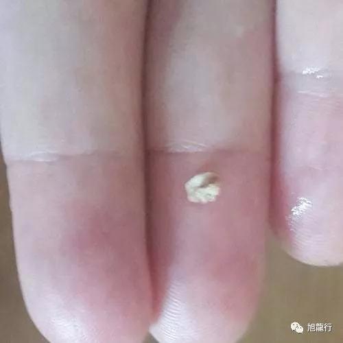 秋风起秋膘贴,秋风起贴秋膘喝羊汤