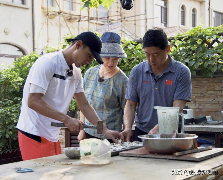 张继科金晨选择继续了吗,张继科和金晨继续发展了吗