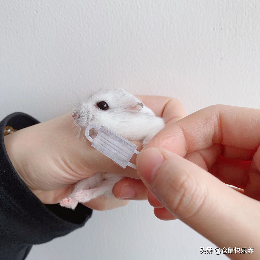 男子自制金口罩,男人自制口罩