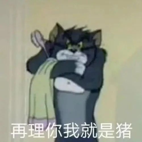 精选100张热门表情包聊天斗图必备,微信里斗图的表情包都哪里找的