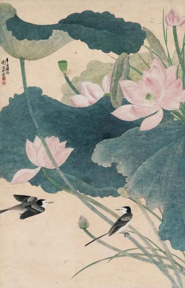 墨与色相碰撞,他笔下的荷花出淤泥而不染飘来阵阵清香