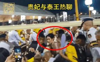 最新公务活动，诗妃坐次改变暗示地位改变，跪地卑微惹人怜