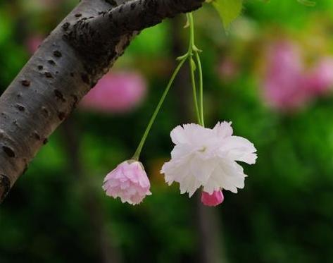 当你生气时看看女生的态度,当你生气时看一看你会明白很多