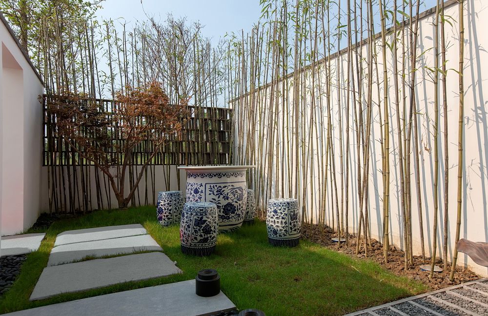 农村院子宽10米进深6米怎样设计,农村院子简单花园设计效果图大全