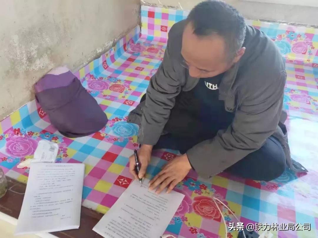 伊春森工铁力林业局最新消息,伊春森工铁力林业局有限责任公司