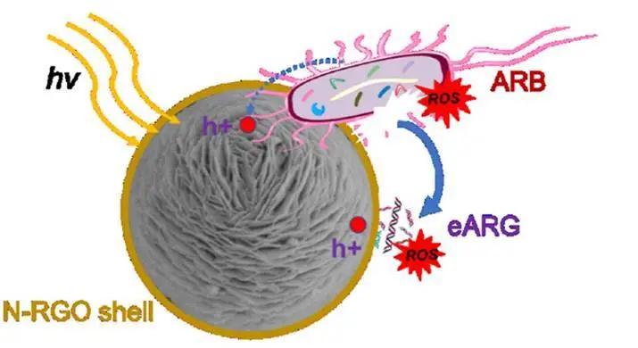 什么消毒液能杀耐药菌,污水处理是不是必用杀菌剂