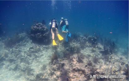 潜行多睿什么意思,潜行多睿深度评测