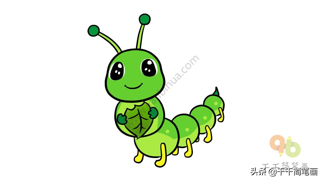 昆虫简笔画和介绍,昆虫简笔画及简介