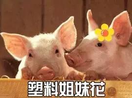 bf男朋友和gf女朋友,gf是男是女