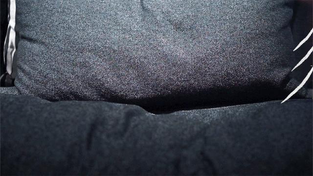 抖音爱家音乐节！「居然之家」入川10年庆狂欢来袭