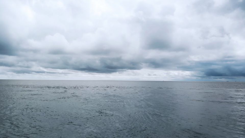 崇明最接地气的民宿,崇明岛两天一夜民宿攻略