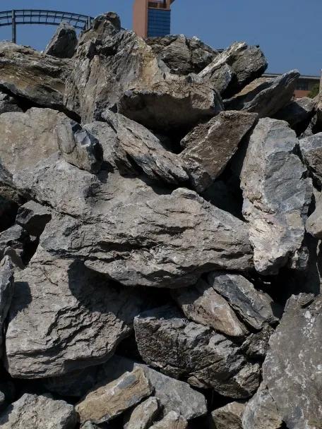 青龙石园林景观假山造景石,园林景观造景假山鱼池庭院