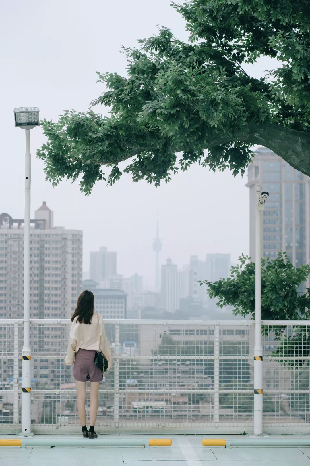 希望你们都能和赛格学学如何做“大哥”