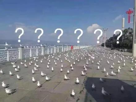 中国人不出门全世界会怎样,中国去哪的机票便宜