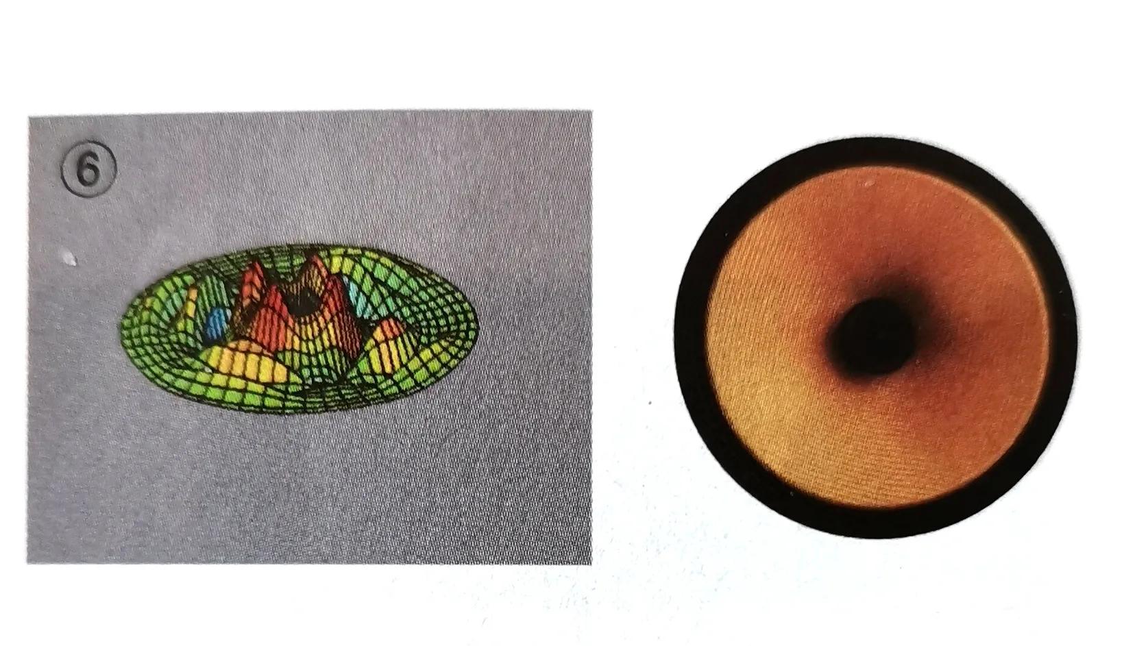 bw旗舰音箱,音响节奏感强的bgm