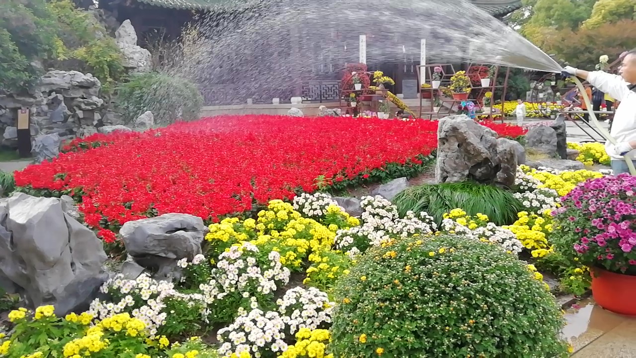 扬州瘦西湖游记,扬州瘦西湖趣园游记