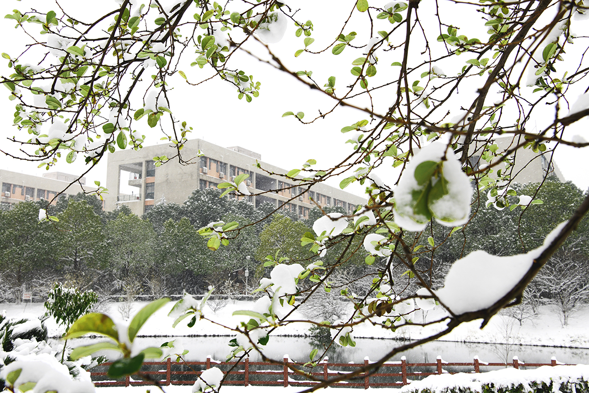 湖北武汉：雪润校园