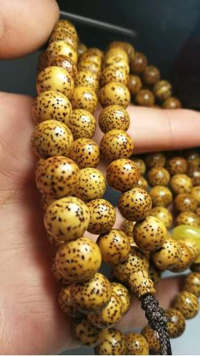 超实力派小姐姐!玩串16年,爱入骨髓,彻彻底底的包浆控