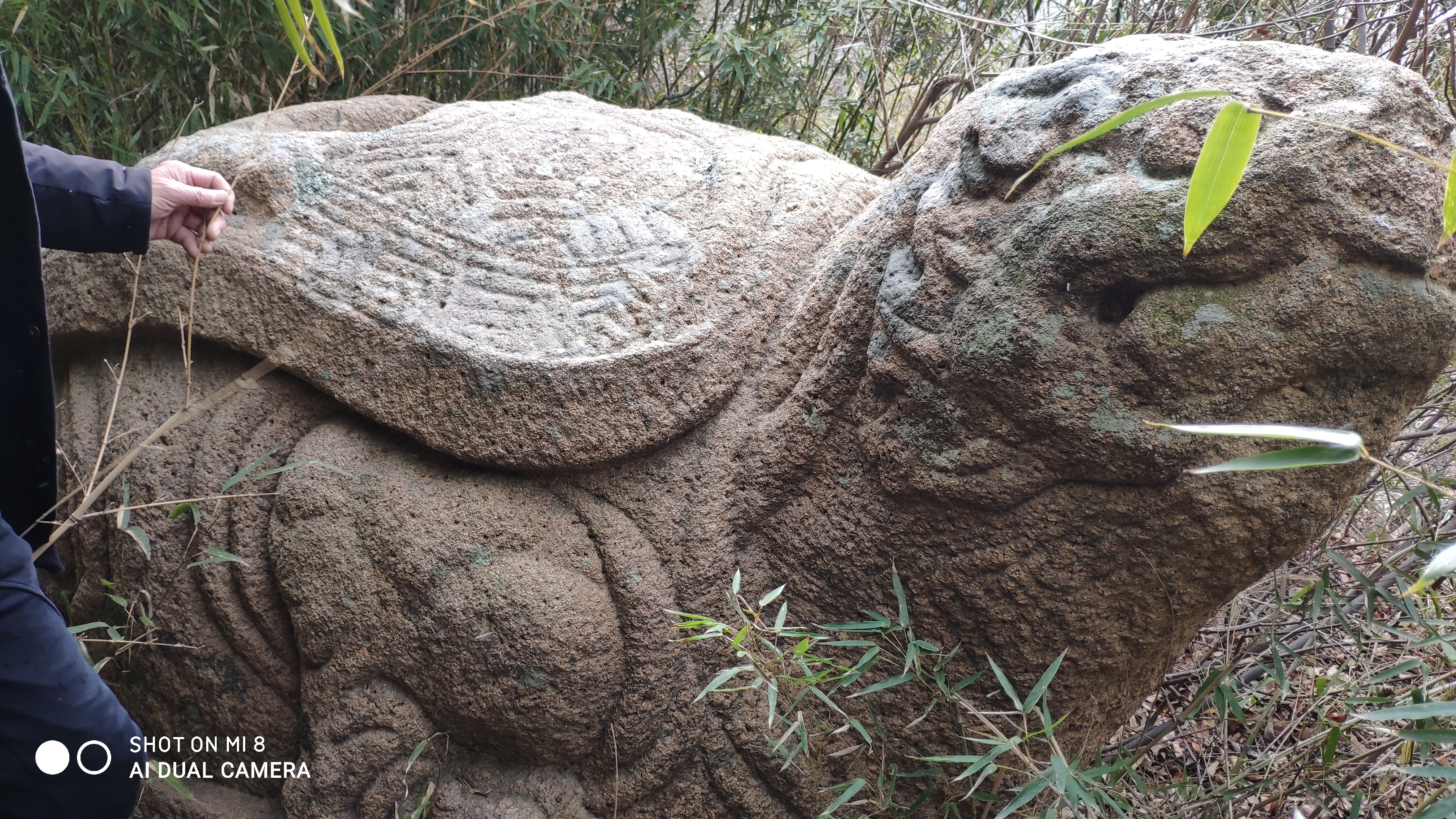 崂山水畔菜蔬鲜，黄石洞中书韵长