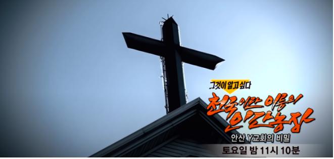 韩国真实女童性侵案件,韩国孤儿院性侵真实事件