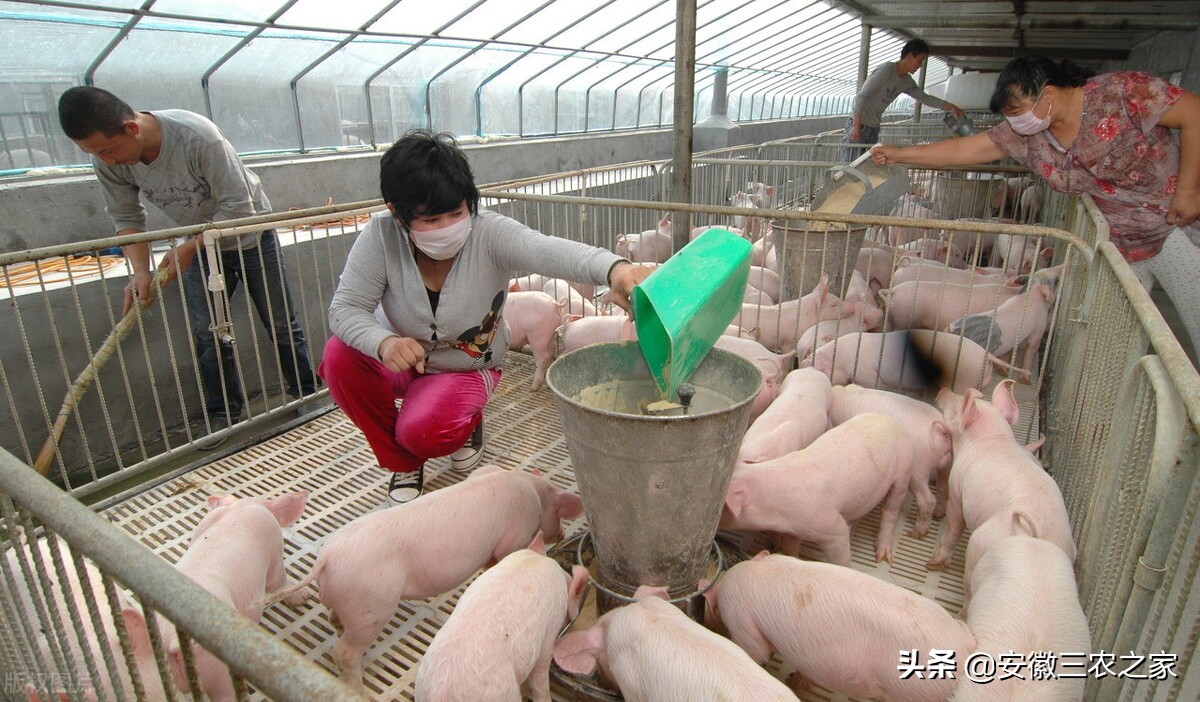 为什么养殖不赚钱还有很多人养,养殖到底能不能赚钱呢