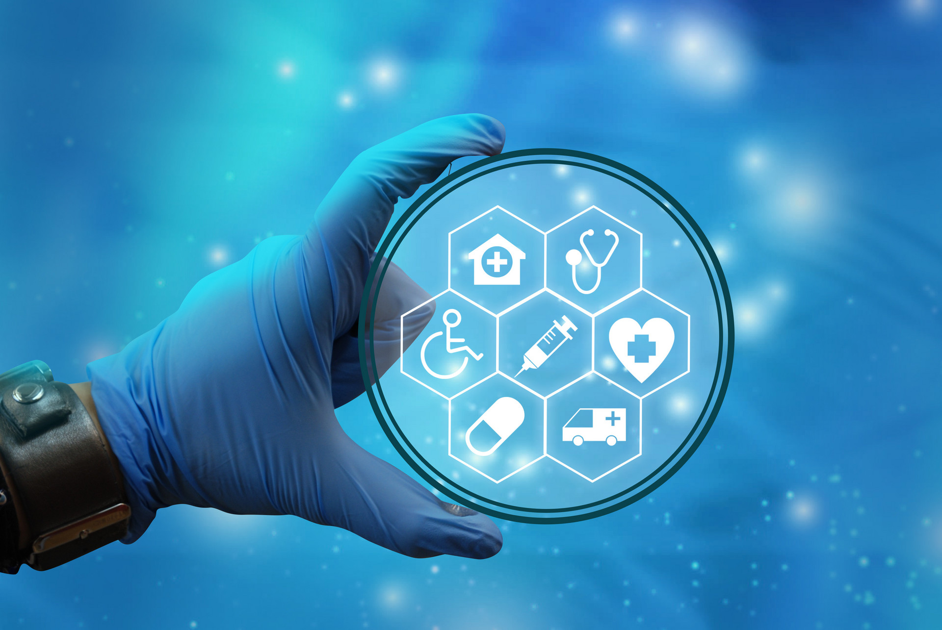 丁丁假体的一般知识