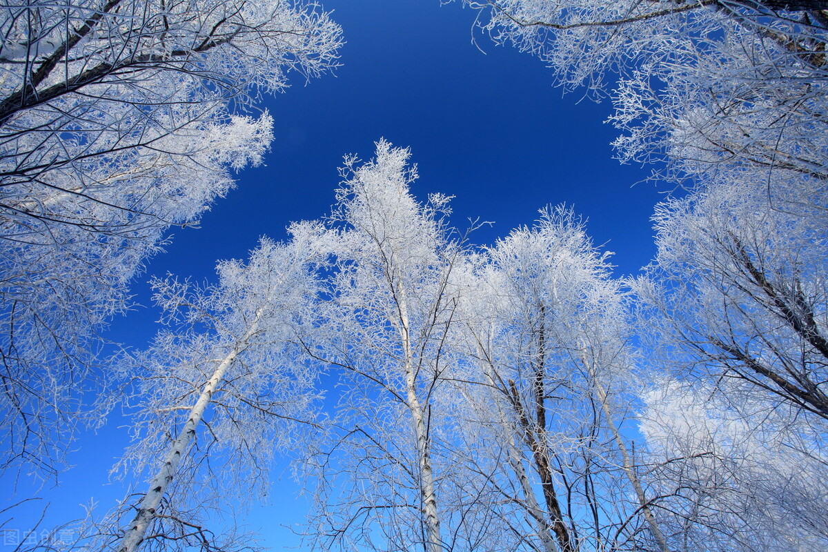 终于凑齐了九宫格照片,傻瓜式九宫格图片