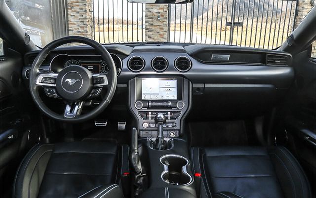 情人节开奥迪送白菜,情人节开奥迪见女朋友