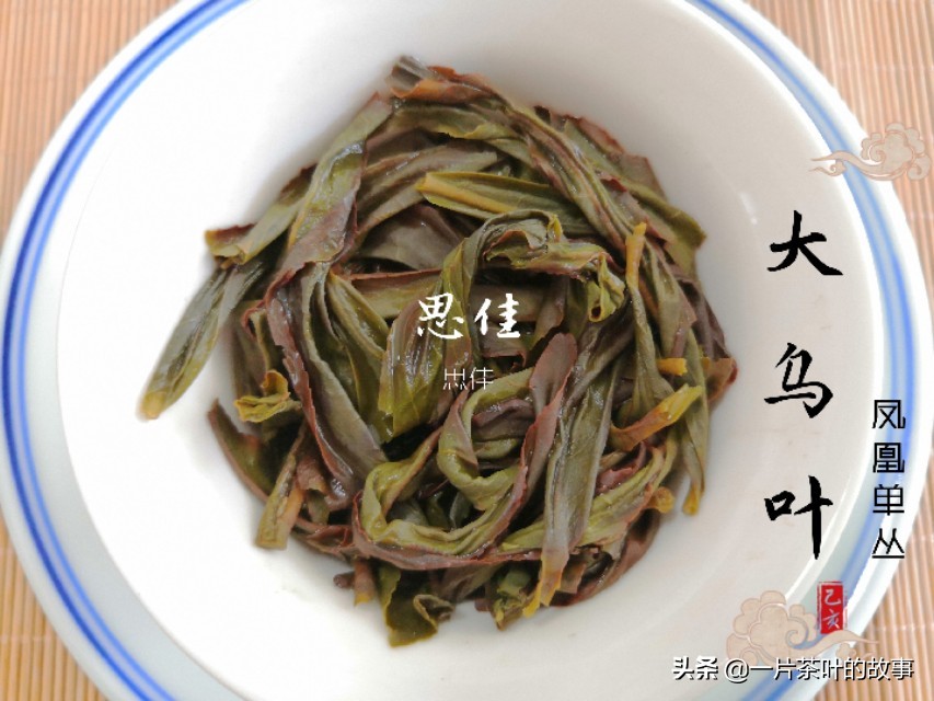 凤凰单枞可以冷泡吗,凤凰单枞泡几回