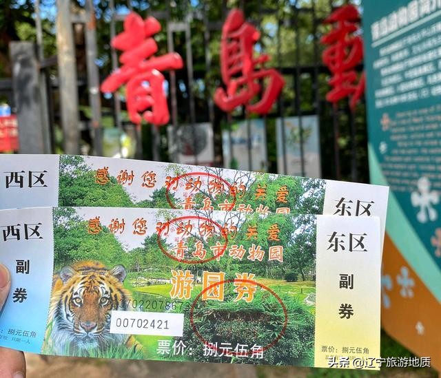 青岛动物园大熊猫馆从哪进,青岛动物园熊猫馆游玩攻略