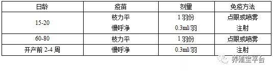 呼吸道支原体怎么能彻底治好,呼吸道支原体感染怎么治疗