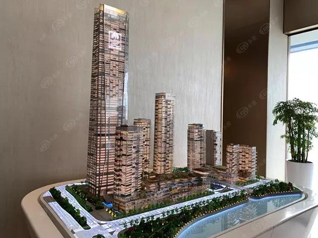 猛虎pk,猛虎和雄狮的pk