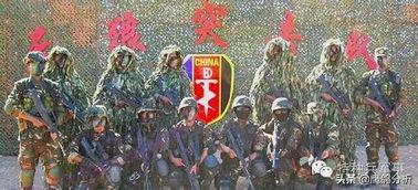 中国特种部队对比外国特种部队,中国特种部队为什么不出名
