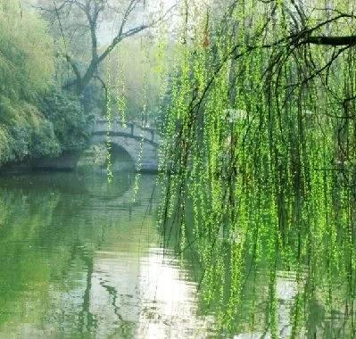 九年级下册历史第三单元知识点,九年级下册语文单元知识人教版