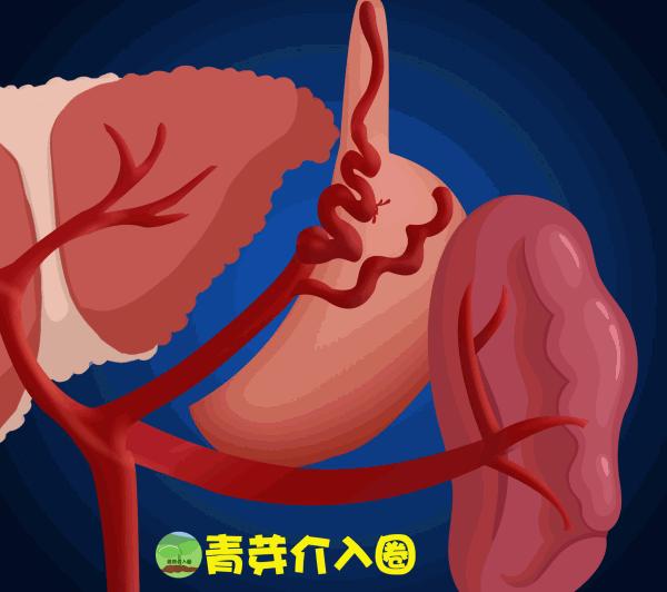 乙肝病人出现吐血便血大概活多久,乙肝吐血止血治疗方法