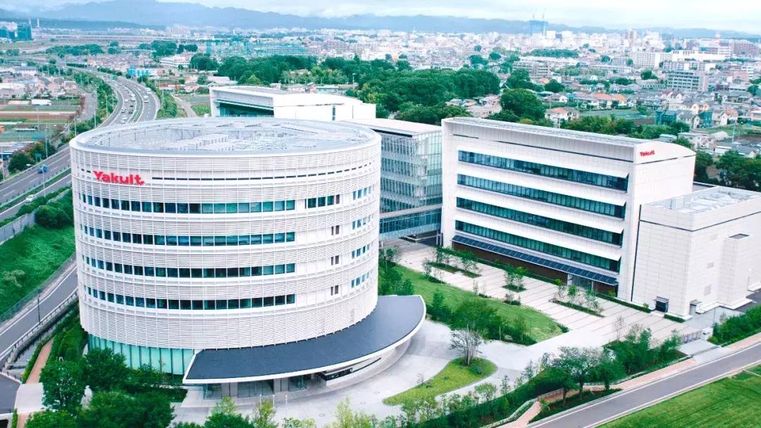 你知道养乐多为什么那么贵吗,养乐多的质感好到怀疑人生