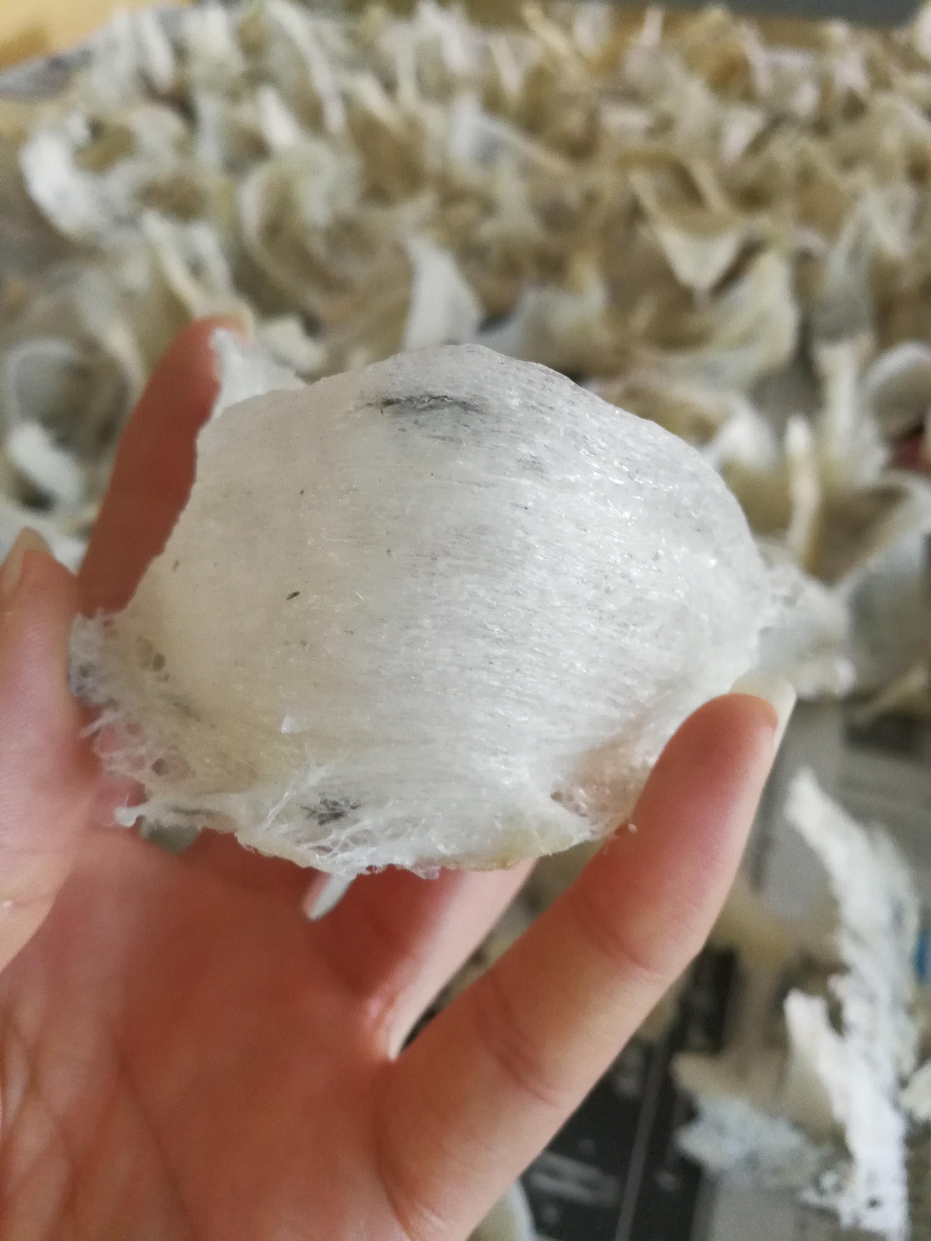 印尼燕窝比马来燕窝蛋清味浓,印尼溯源码燕窝与普通燕窝区别