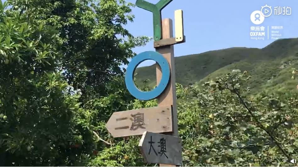 郭晶晶霍启刚带孩子稻田插秧,霍启刚郭晶晶一起插秧吃农家饭