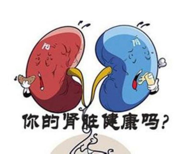 急性肾炎并发急性肾衰竭,急性肾衰竭和急性肾炎的区别