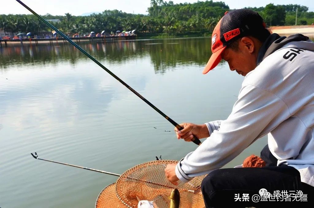 野钓青鱼黑漂空杆怎么选,如何挂脆螺钓青鱼才不空竿