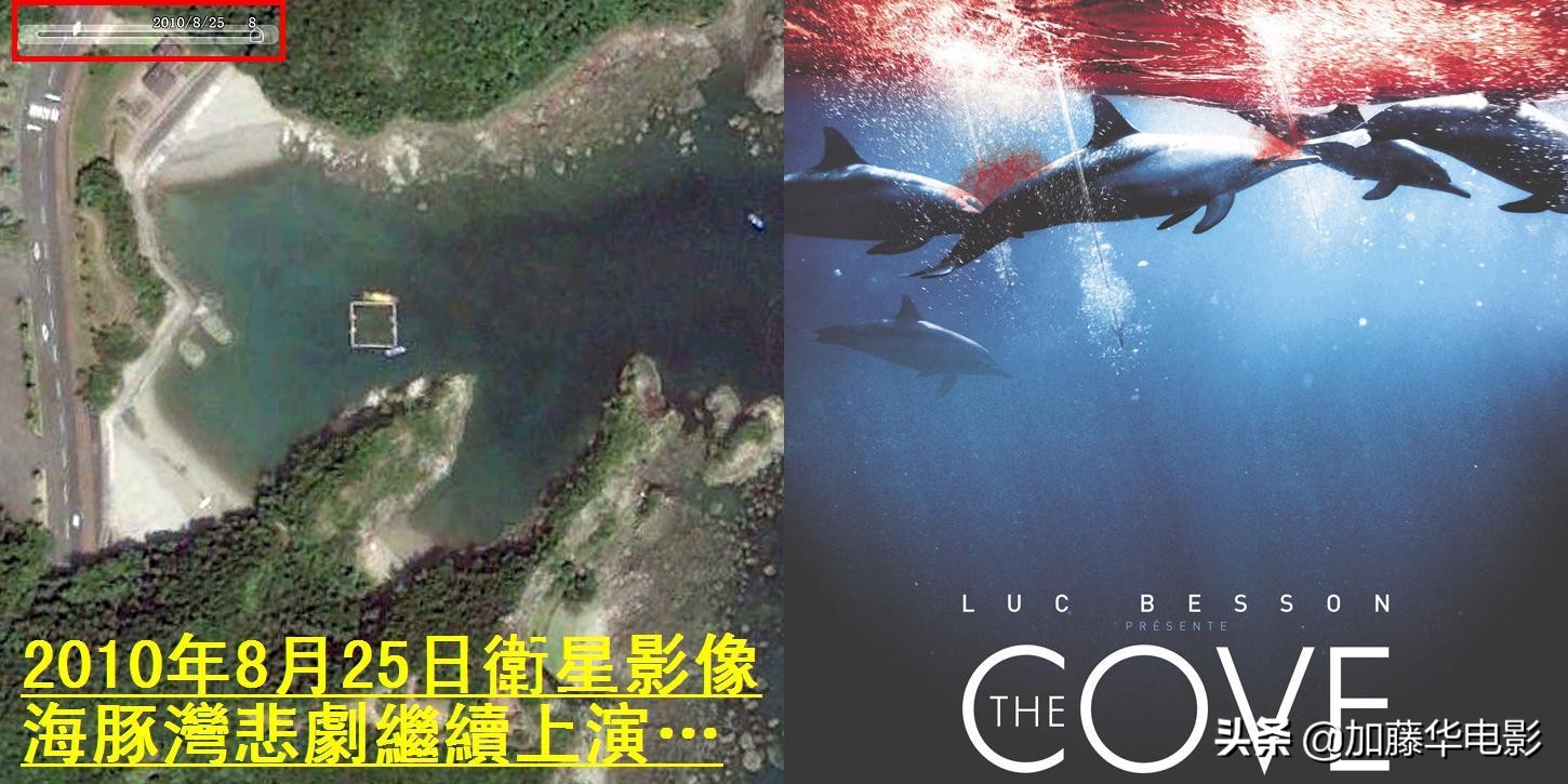 一口气看完外国20部高分电影,20部国外高分电影一口气看完