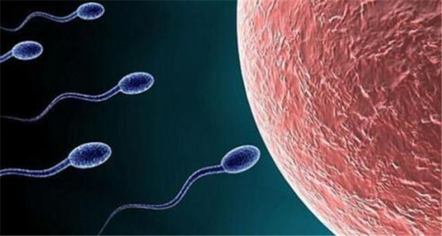 宫外孕都会给女性带来哪些伤害,宫外孕女人越来越多是什么原因