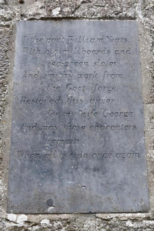 飞鸟越过珊瑚海,飞鸟越过山林