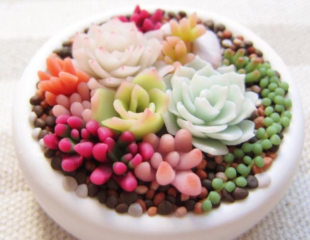 花卉晒伤了怎么处理,绿植晒太阳晒伤了怎么办