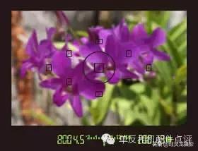 佳能相机镜头基础知识,佳能相机镜头基础知识介绍