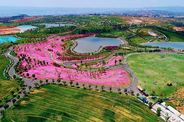 来到这个花田胜景小镇,拥抱“南国御养”健康生活目的地